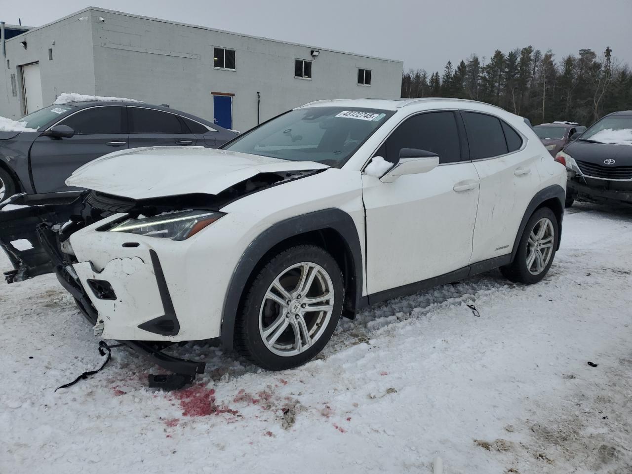 2021 Lexus UX - Image 1