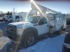 2012 Ford F450 Super Duty en Venta en Madisonville, TN - Minor Dent/Scratches