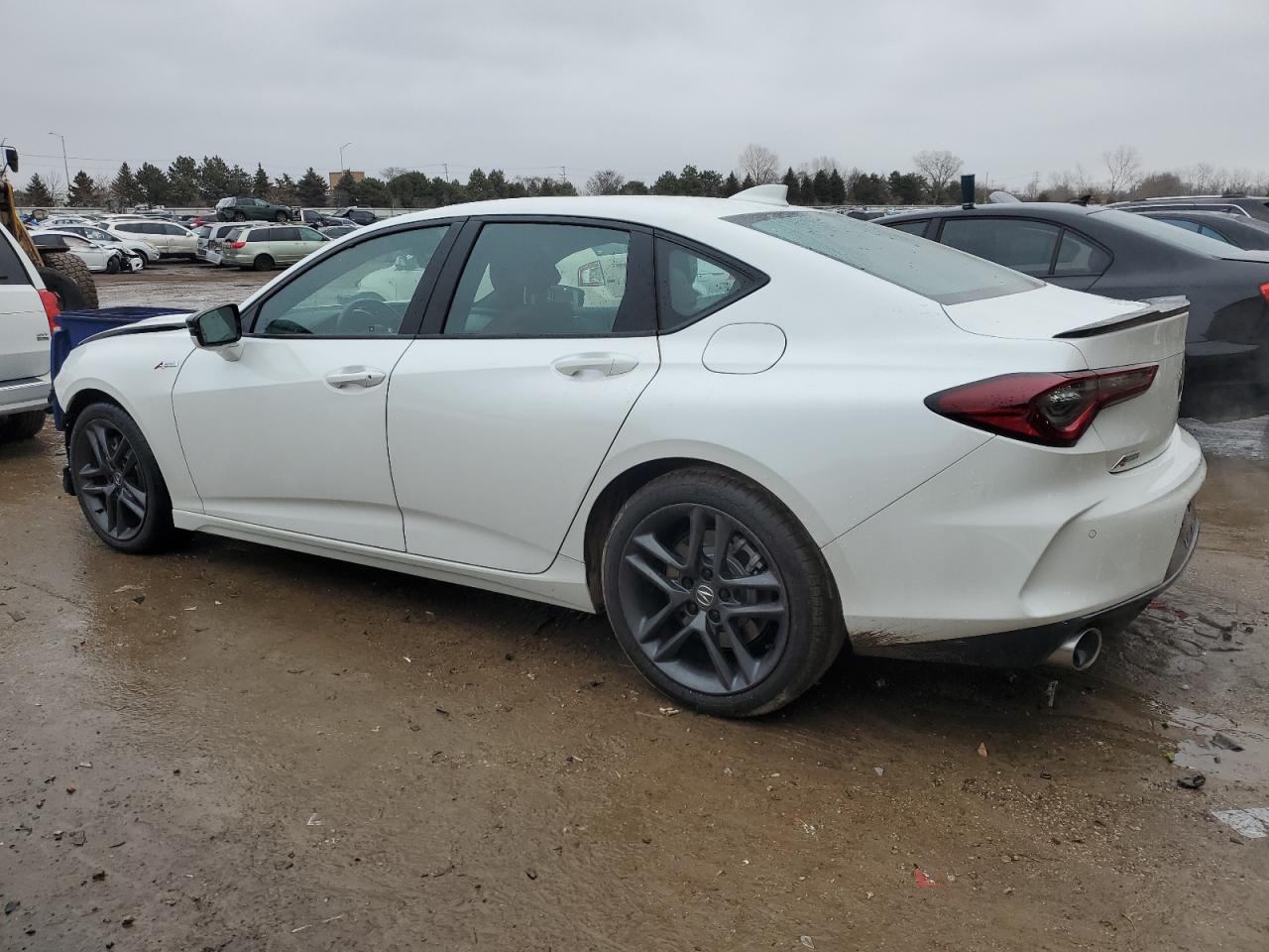 2024 Acura TLX - Image 2