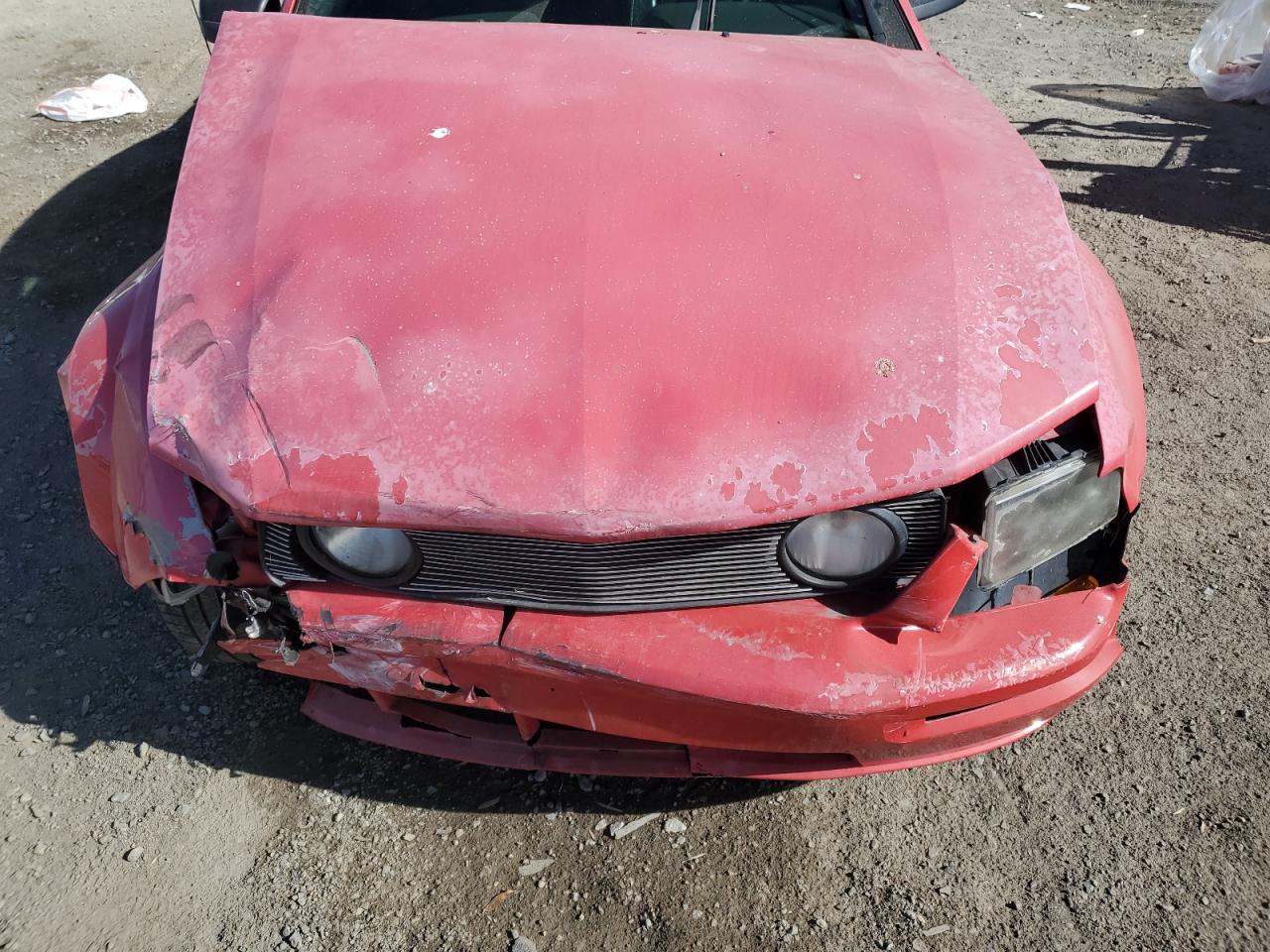 2006 Ford Mustang Gt VIN: 1ZVHT82HX65167857 Lot: 89185985