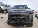 2024 Chevrolet Silverado K1500 Trail Boss Custom იყიდება New Orleans-ში, LA - Front End