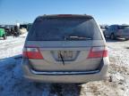 2005 Honda Odyssey Ex за продажба в Elgin, IL - Front End