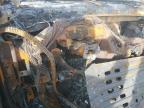 2007 Chevrolet Tahoe K1500 للبيع في Jacksonville، FL - Burn