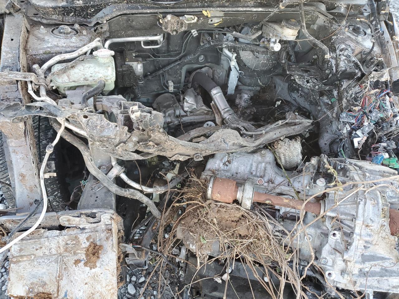 2019 Honda Civic Ex VIN: JHMFC1F30KX004552 Lot: 54948195