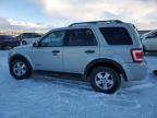 2008 FORD ESCAPE XLT for sale at Copart AB - EDMONTON