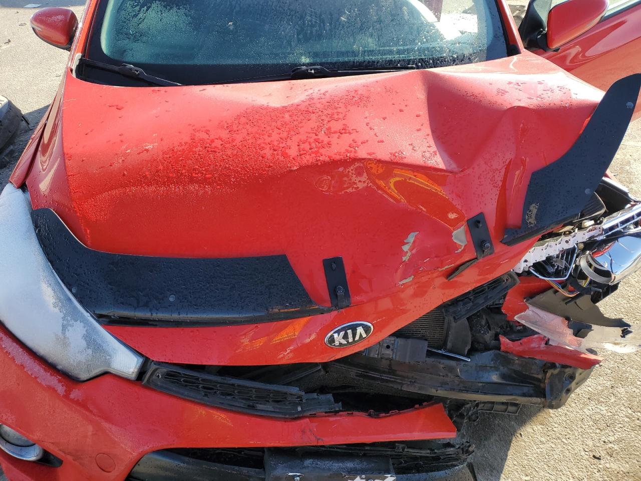 2016 Kia Forte - Image 13