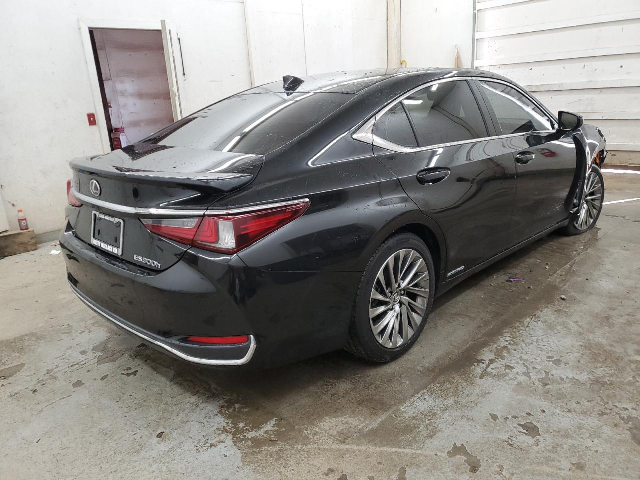 2019 Lexus ES - Image 3