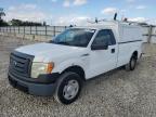 2010 Ford F150    на продаже в Homestead, FL - Minor Dent/Scratches