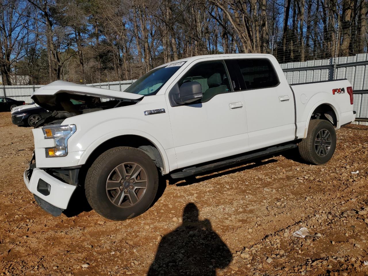 2015 Ford F-150 - Image 1