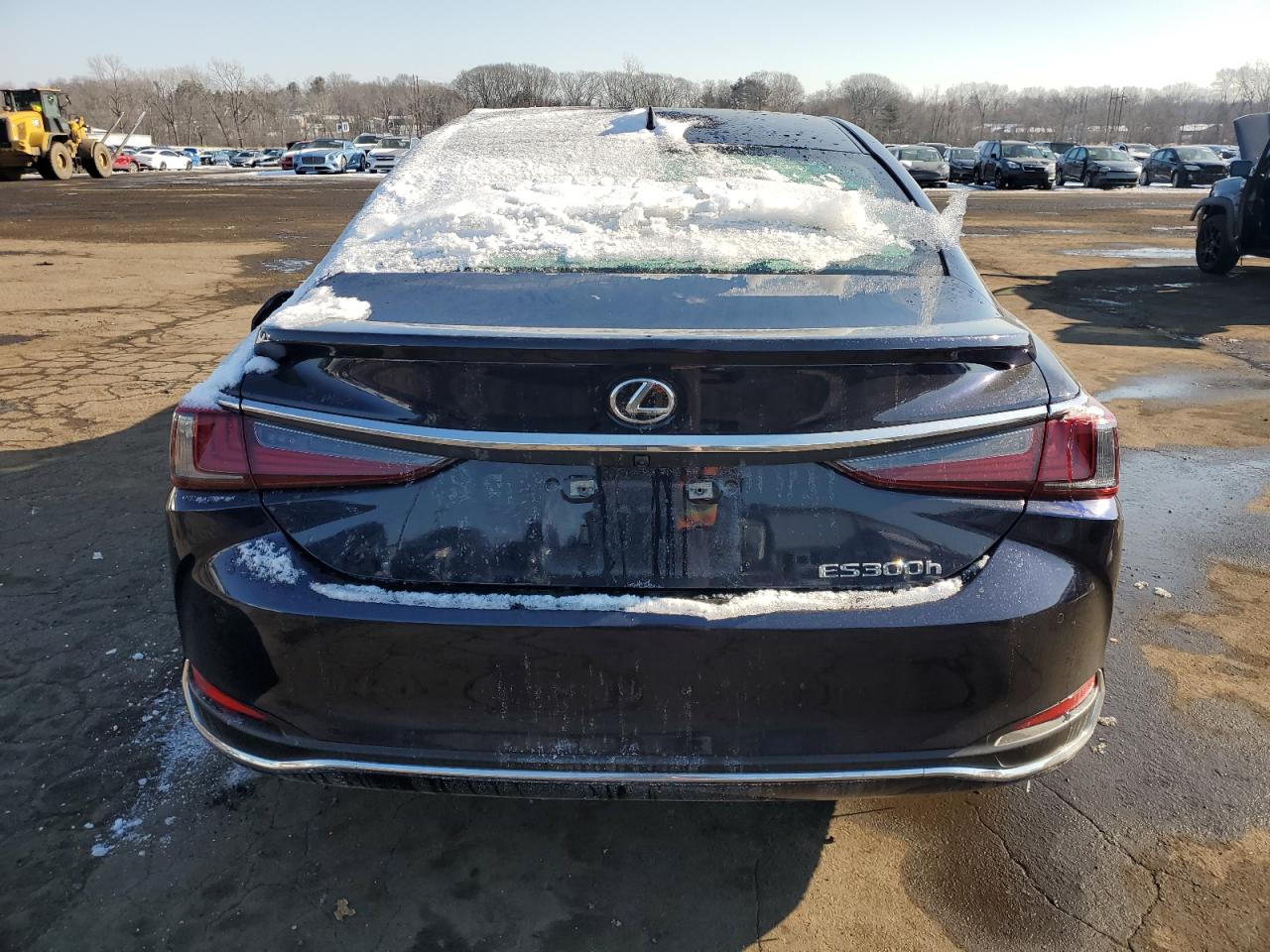 2025 Lexus ES - Image 6