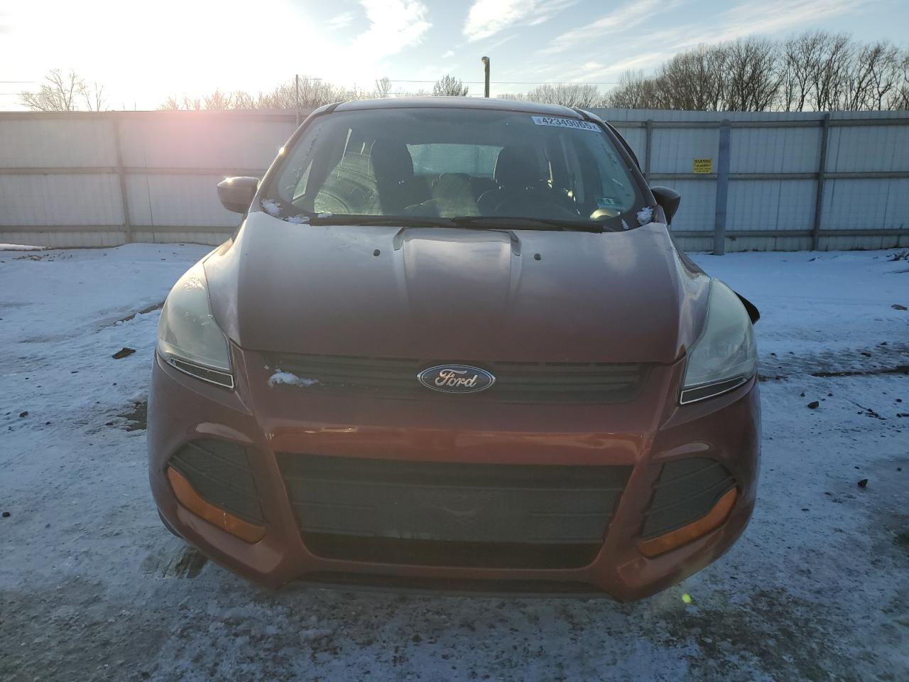 2014 Ford Escape - Image 5