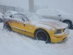 Wayland, MI에서 판매 중인 2005 Ford Mustang Gt - Burn - Interior