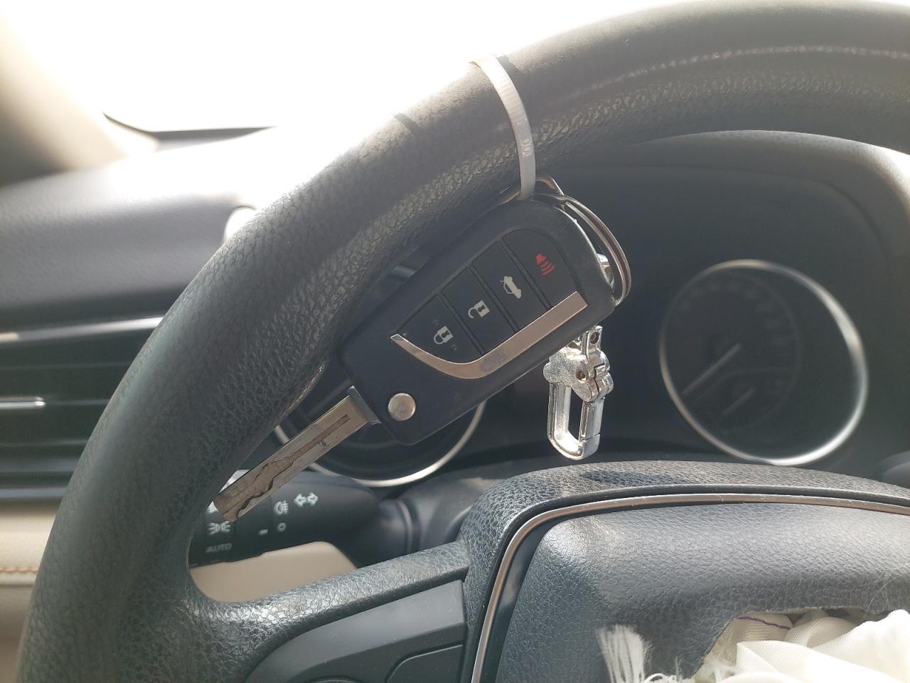 JTNBF9HKXK3031321 - 2019 Toyota CAMRY - #88568035