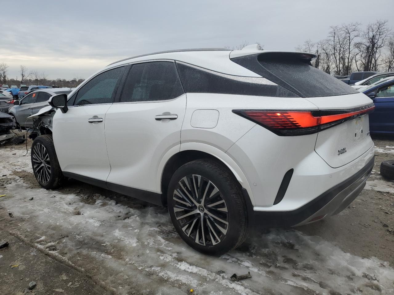 2024 Lexus RX - Image 2