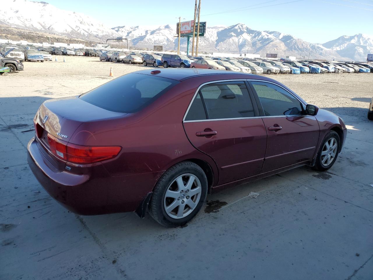 2005 Honda Accord - Image 3