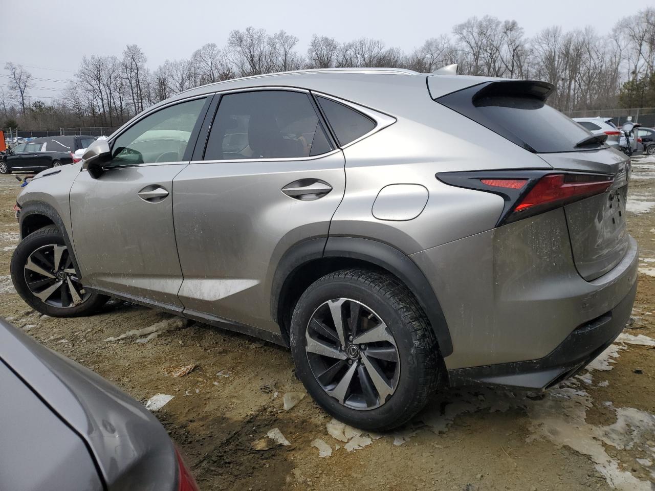 2019 Lexus NX - Image 2