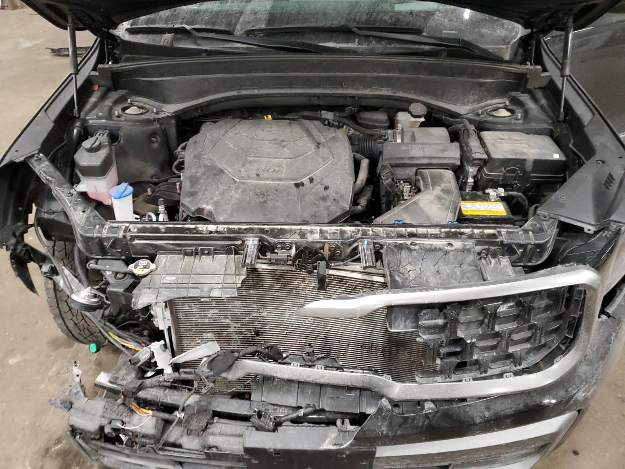 2023 Kia Telluride Sx VIN: 5XYP5DGC8PG397050 Lot: 87598145