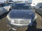 2008 Honda Accord Exl იყიდება Windsor-ში, NJ - Front End