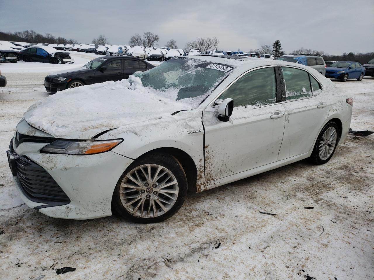 2020 Toyota Camry - Image 1