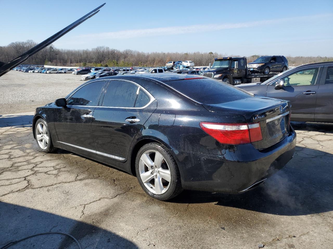2008 Lexus LS - Image 2