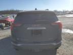 Kansas City, KS에서 판매 중인 2019 Gmc Terrain Denali - All Over