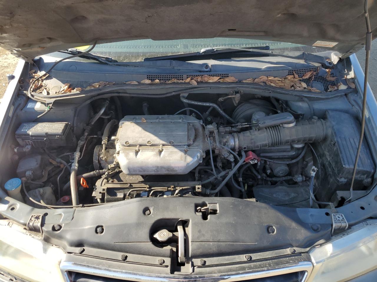 2002 Honda Odyssey Ex VIN: 2HKRL18672H538486 Lot: 88310735