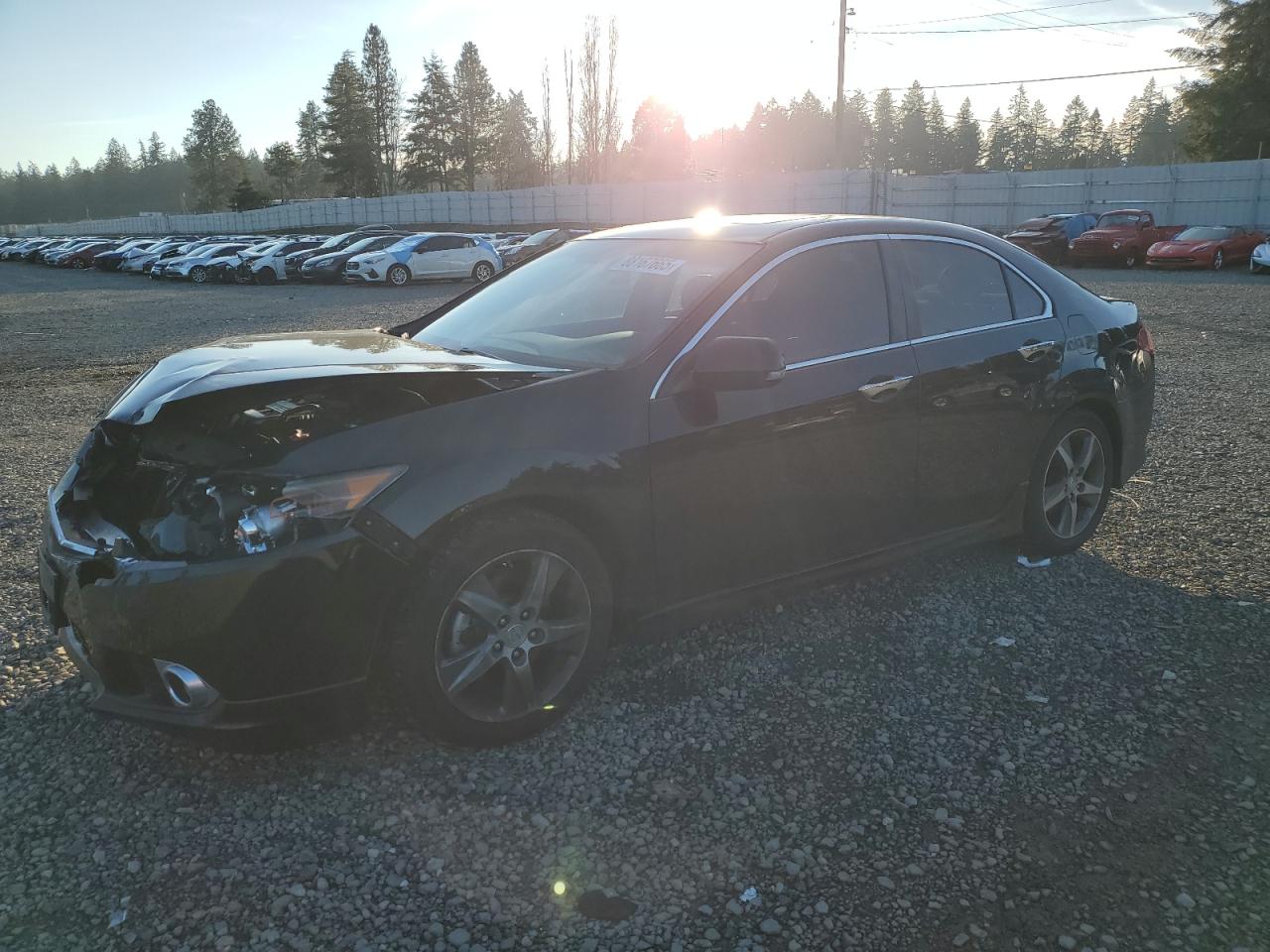 VIN JH4CU2F88DC011244 2013 ACURA TSX no.1