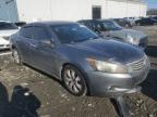 2008 Honda Accord Exl იყიდება Windsor-ში, NJ - Front End