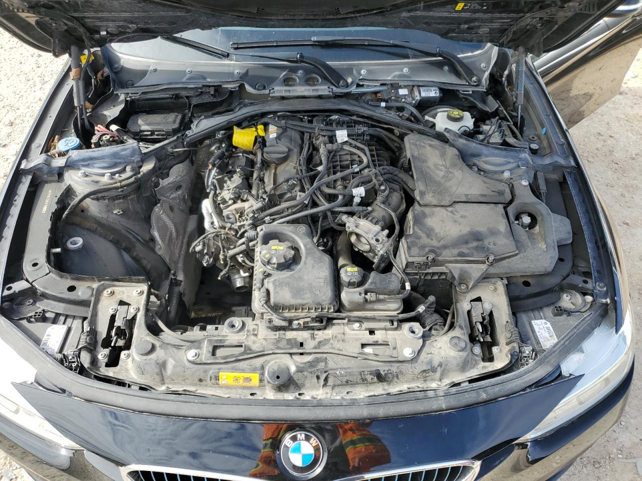 Фото: WBA8E1C56JA758869