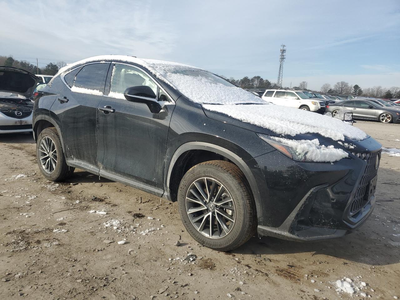 2024 Lexus NX - Image 4