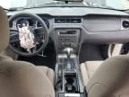 2010 Ford Mustang    იყიდება Homestead-ში, FL - Front End