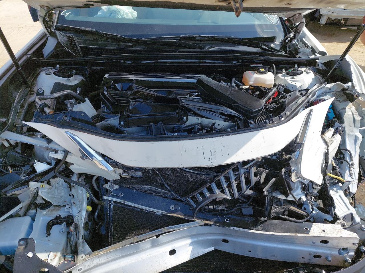 JTHB21B10P2223117 - 2023 Lexus Es 300 - #43300495