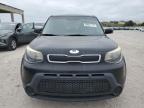 2014 Kia Soul  продається в West Palm Beach, FL - Minor Dent/Scratches