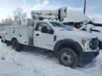 2017 Ford F550 Super Duty for Sale in Dyer, IN - Rear End