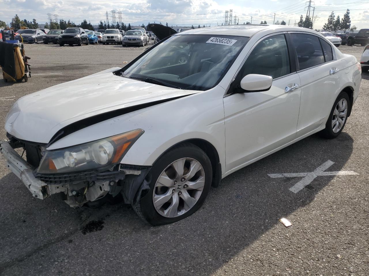 2008 Honda Accord - Image 1