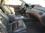 2011 Honda Accord Exl للبيع في New Britain، CT - Front End