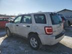 2010 Ford Escape Xls zu verkaufen in Pekin, IL - Front End