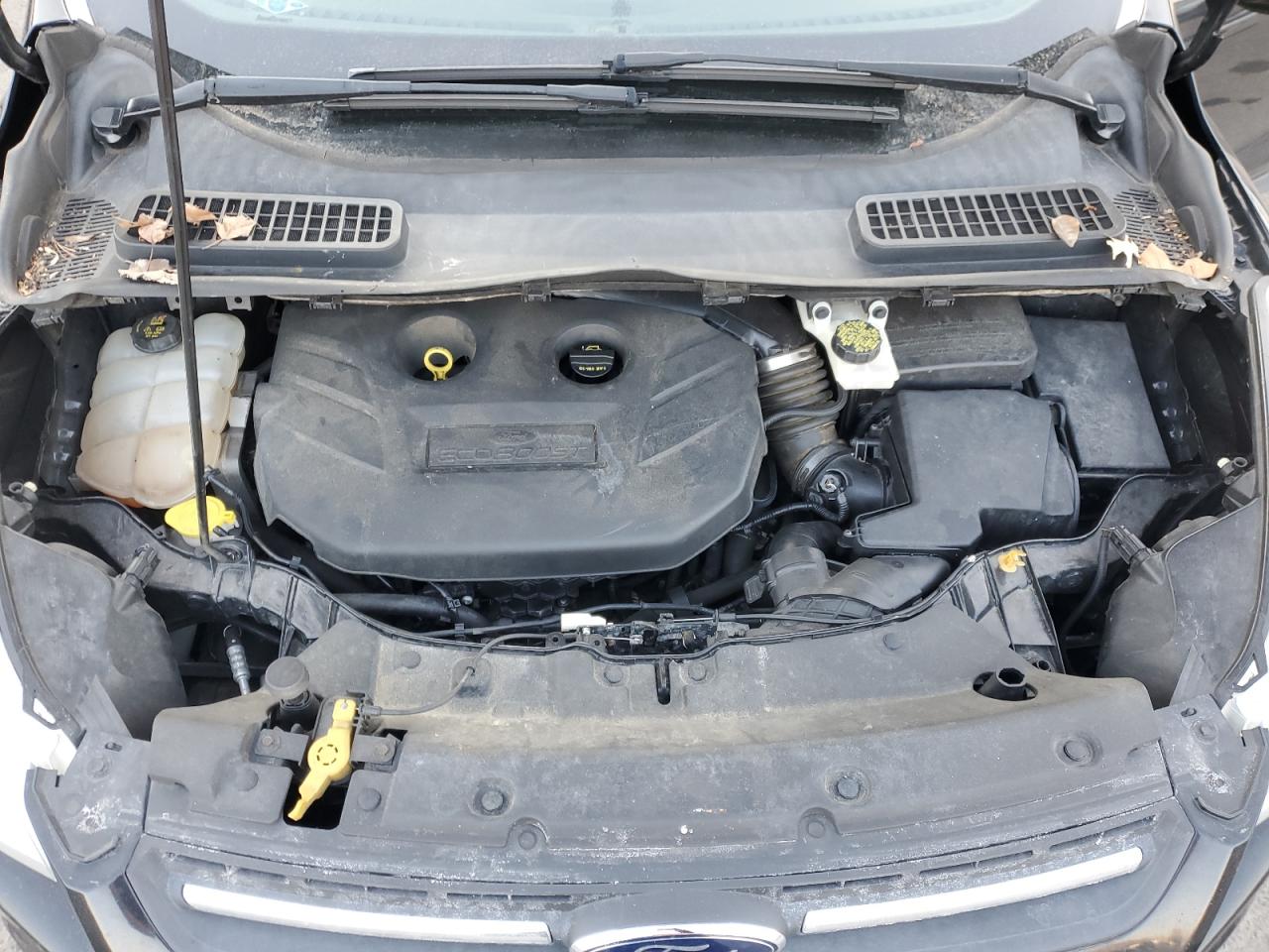 2014 Ford Escape - Image 12