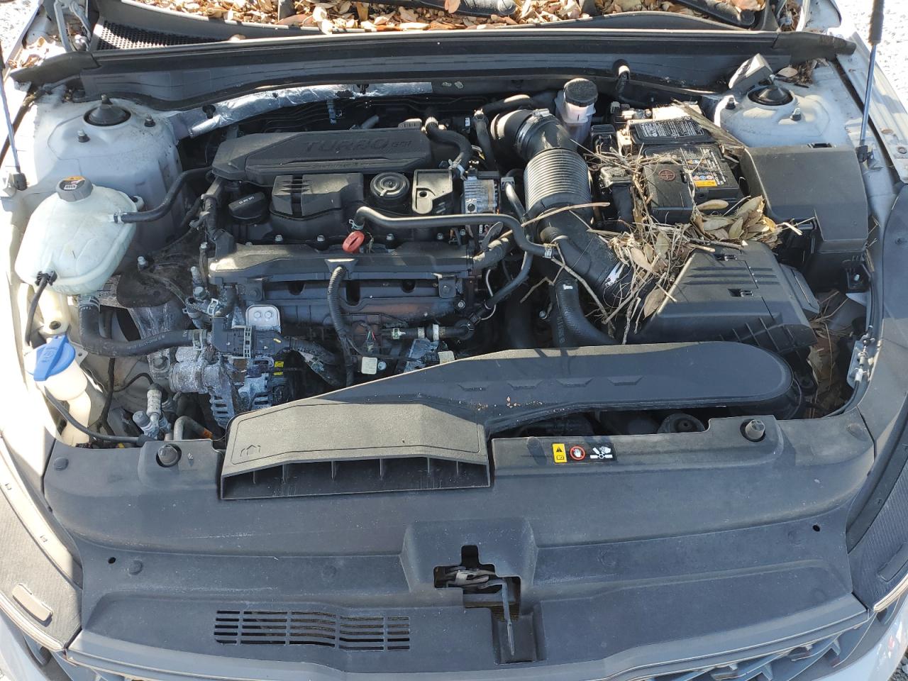 2021 Kia K5 Gt Line VIN: 5XXG64J22MG007895 Lot: 42633125