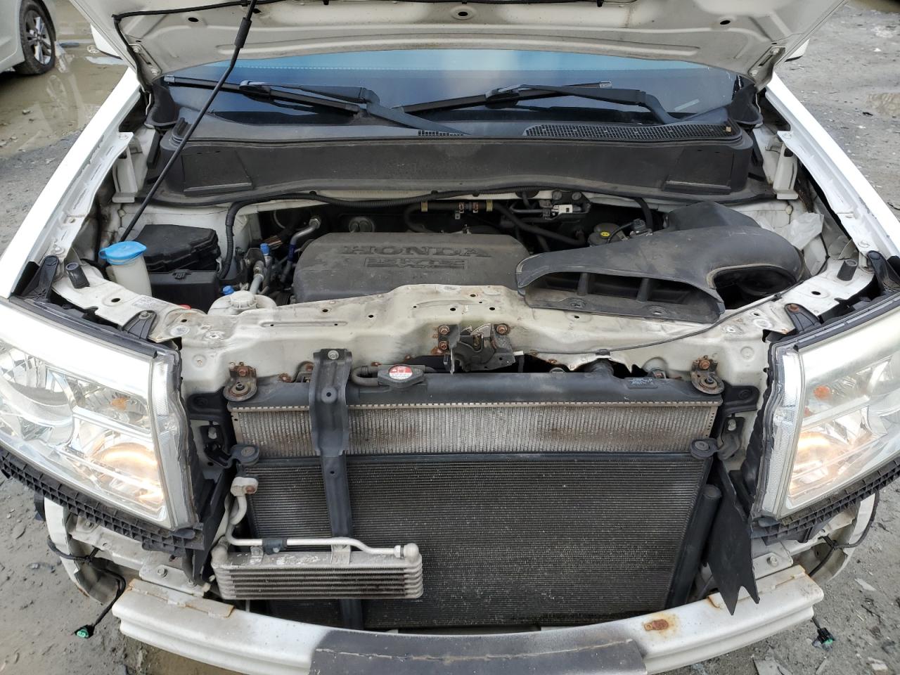 2013 Honda Pilot Exl VIN: 5FNYF4H58DB026409 Lot: 87287064