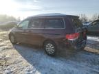 2010 Honda Odyssey Exl na sprzedaż w Baltimore, MD - Rear End