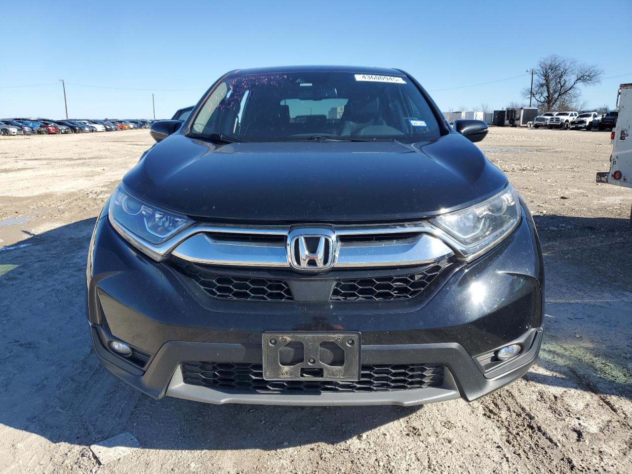 2019 Honda CR-V - Image 5