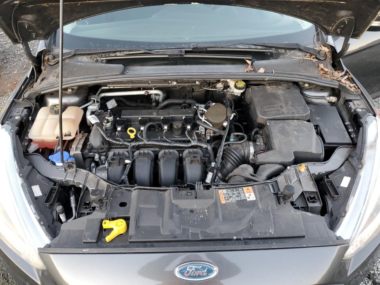 2016 Ford Focus - Image 12