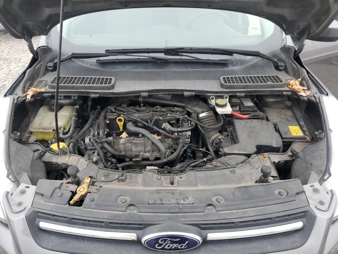 2014 Ford Escape - Image 11