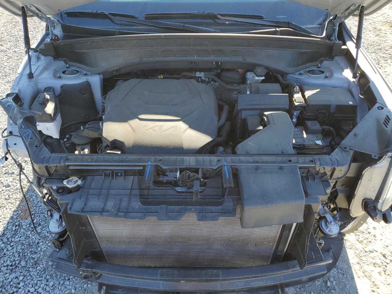 2023 Kia Telluride - Image 12