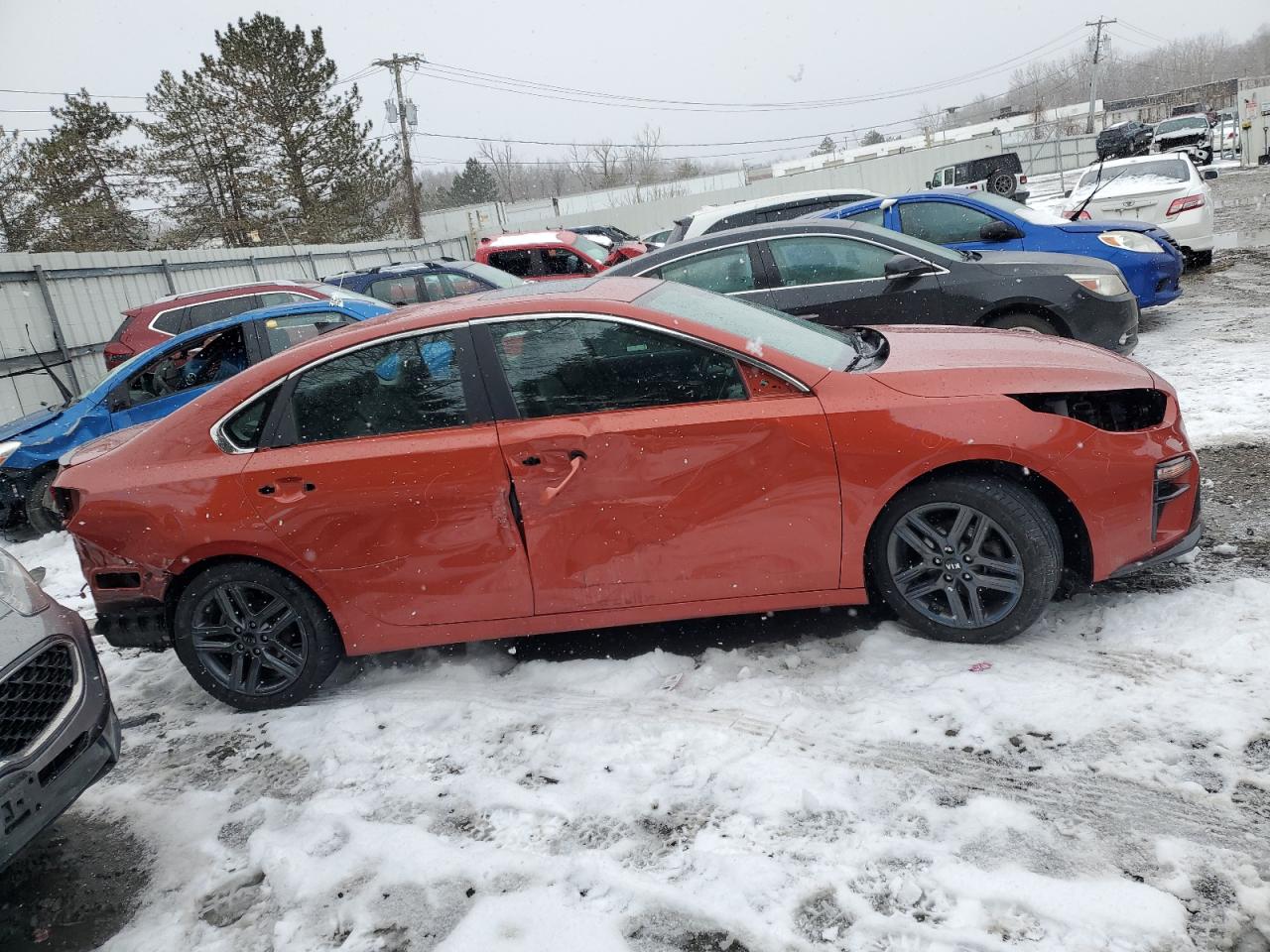 2019 Kia Forte - Image 3