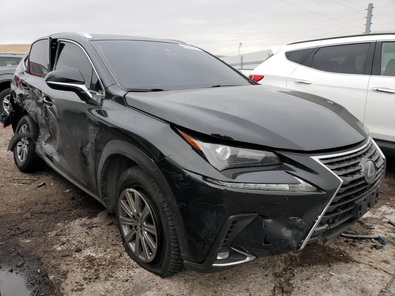 2019 Lexus NX - Image 4