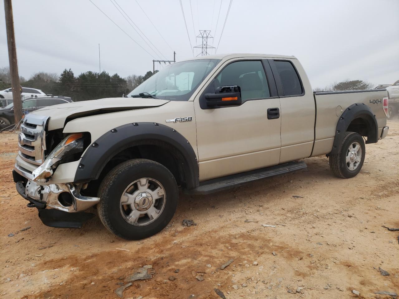 2010 Ford F-150 - Image 1