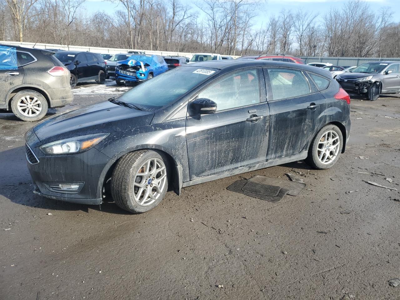 2015 Ford Focus - Image 1