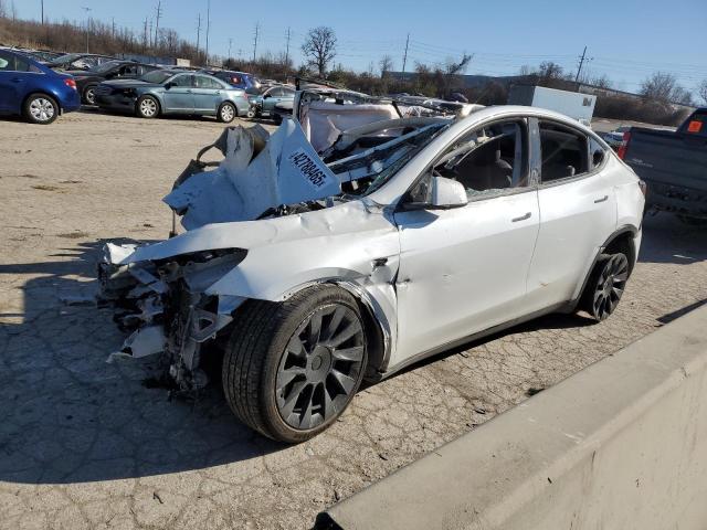  TESLA MODEL Y 2021 White